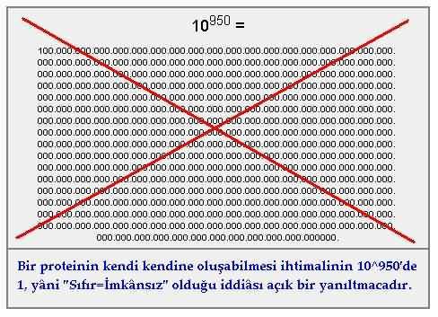 olasilik-hesabi-protein